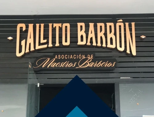 logotipos-y-emblemas-de-acrilico-anuncios-luminosos-06.webp